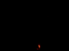 fire5.gif